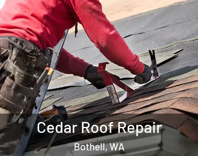  Cedar Roof Repair Bothell, WA