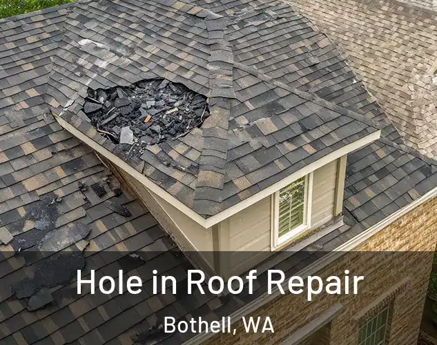  Hole in Roof Repair Bothell, WA