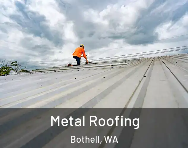  Metal Roofing Bothell, WA