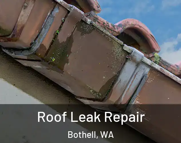  Roof Leak Repair Bothell, WA
