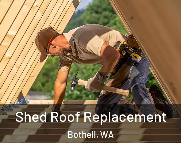  Shed Roof Replacement Bothell, WA