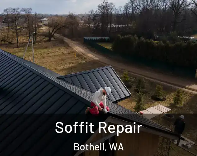  Soffit Repair Bothell, WA